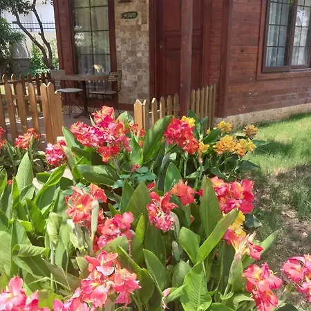 Miss Mandarin Bungalow Evleri Bed & Breakfast *